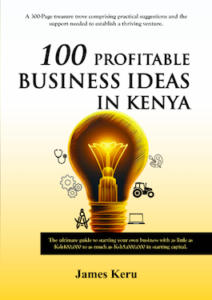 Biz Ideas Book