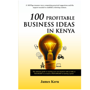 Biz Ideas Book