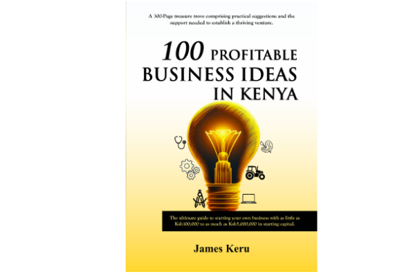 Biz Ideas Book