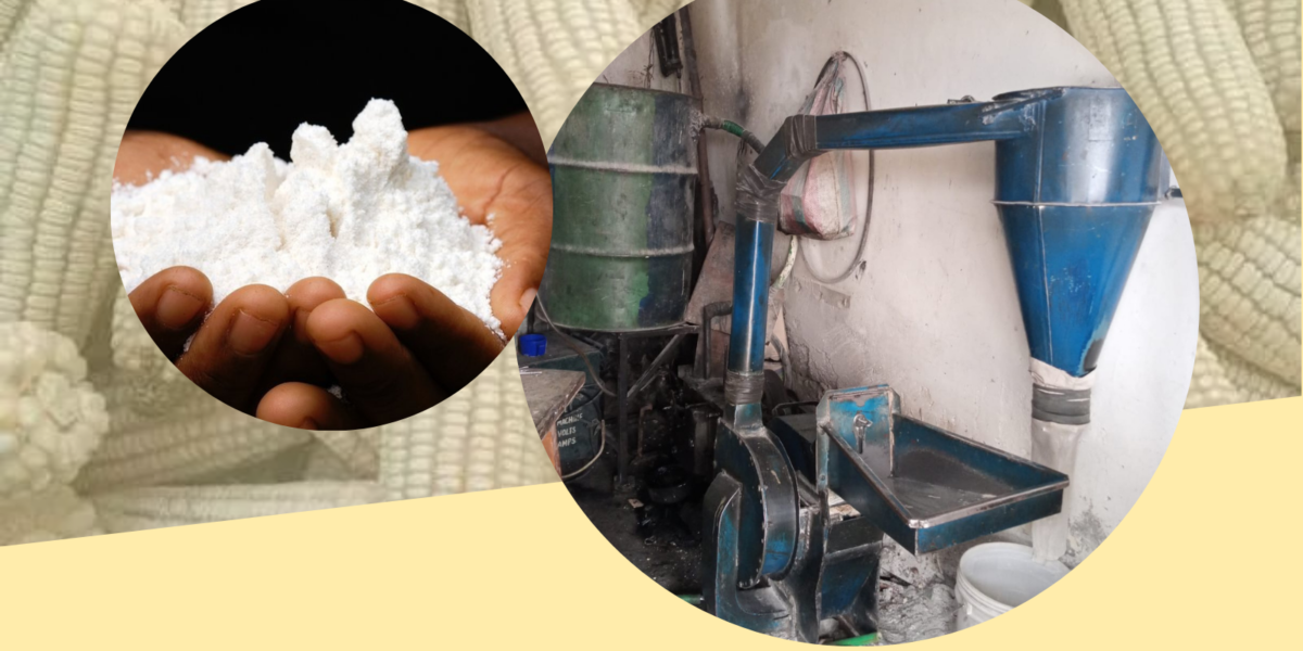 An old posho mill, hands with flour, and maize and unshelled maize cobs in the background as used in a Featured image for an article on how to start a posho mill business in Kenya