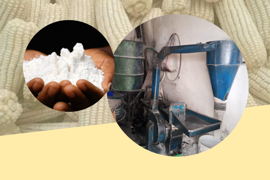 An old posho mill, hands with flour, and maize and unshelled maize cobs in the background as used in a Featured image for an article on how to start a posho mill business in Kenya