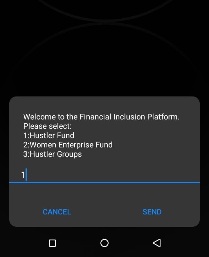 Select option 1 on the list to commence your Hustler Fund application