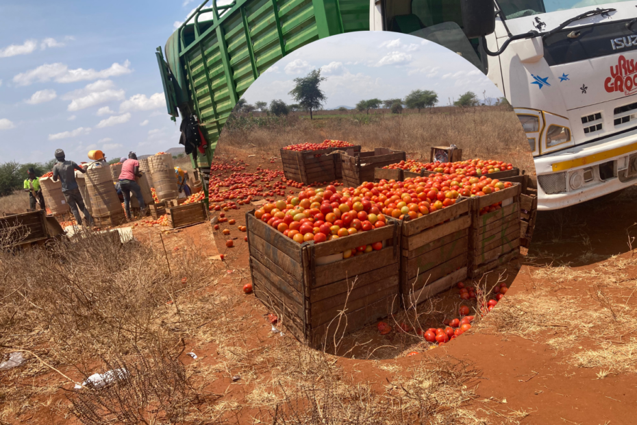 Tomato Farming in Kenya Featured Image