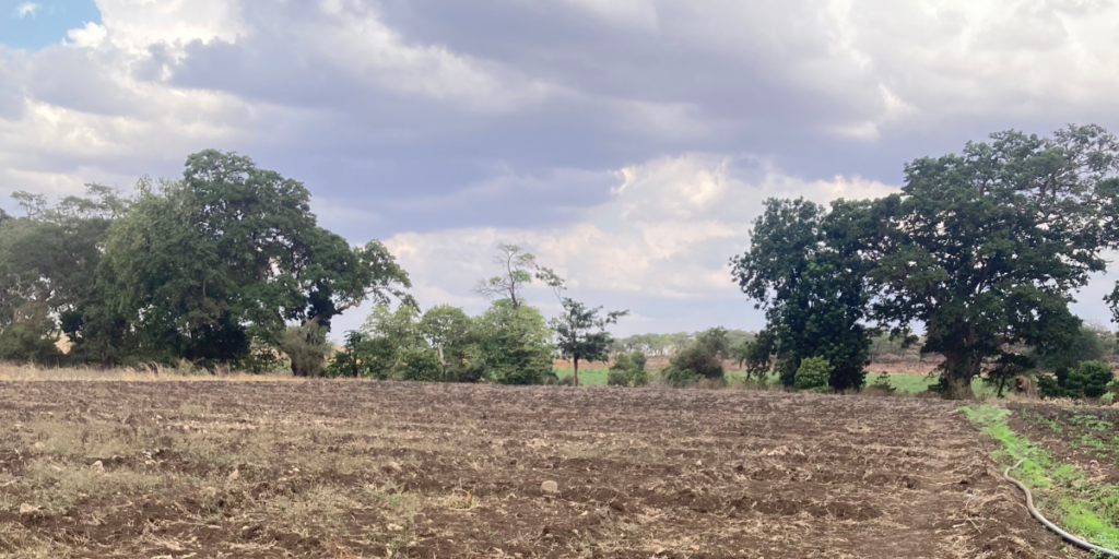 A chunk of land in Taita Taveta County in Southern Kenya