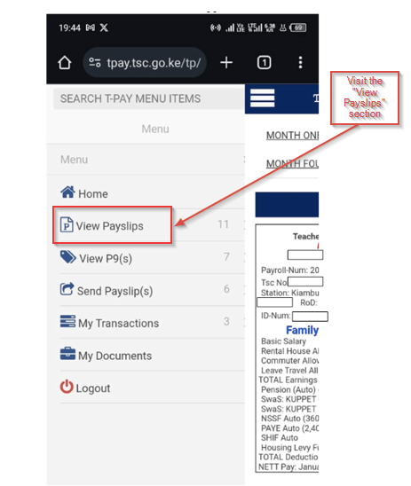 View payslips